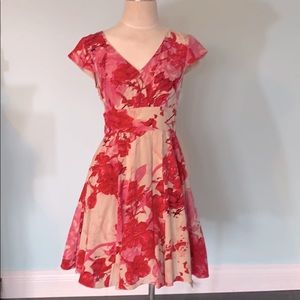 Beautiful Ted Baker silk floral dress